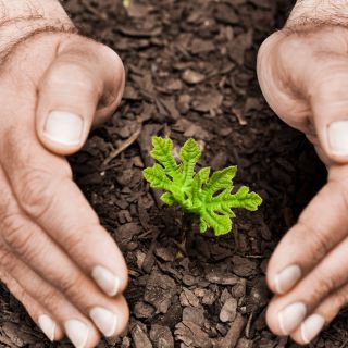 Protection globale