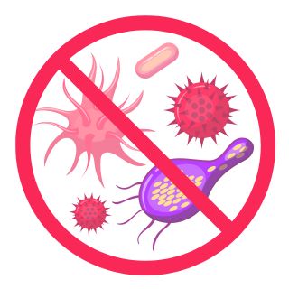 Élimination complète des parasites